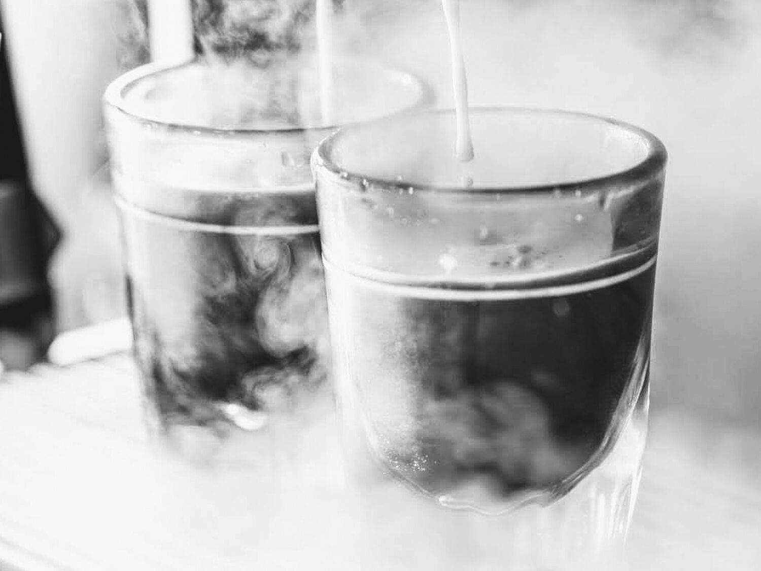 Black Lab Coffee Co.